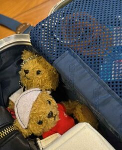 トランクの中に入ったくまのぬいぐるみと娘の引っ越し荷物