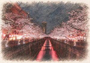 2026年目黒川の桜